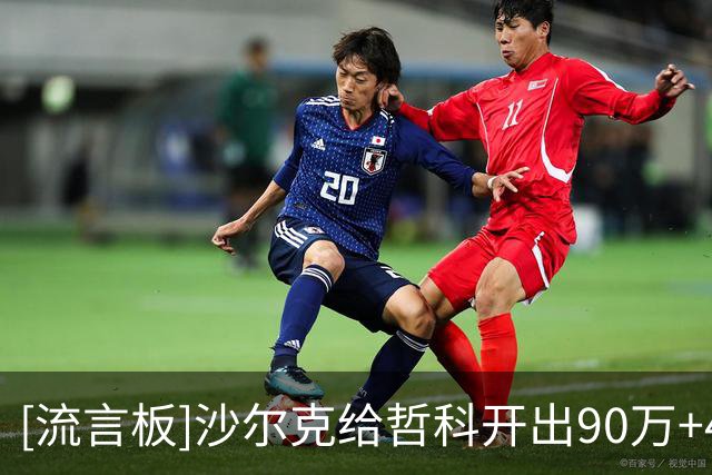 [流言板]沙尔克给哲科开出90万+40万税前顶薪，等待他决定是否要退役